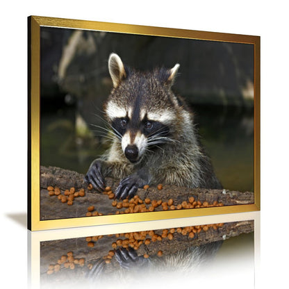 Rustic Raccoon Print Wall Decor Nature Animal Artwork-013
