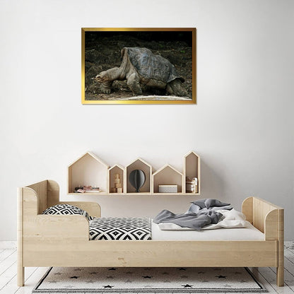 Cute Turtle Wall Art Gold Frame Nature Home Decoration-09