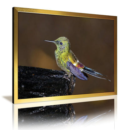 Tropical Toucan Duo Wall Art – Modern Nature Photography Print-13