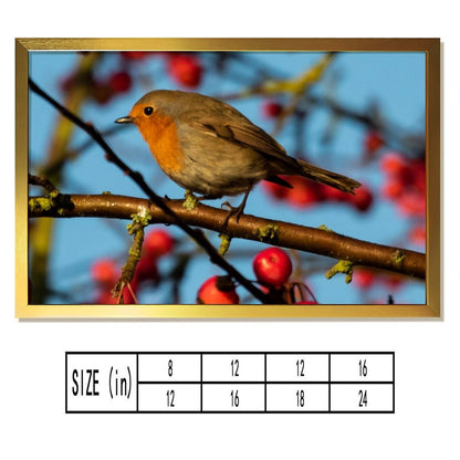 Red-Breasted Robin Canvas Wall Art – Nature Bird Photography Print-141