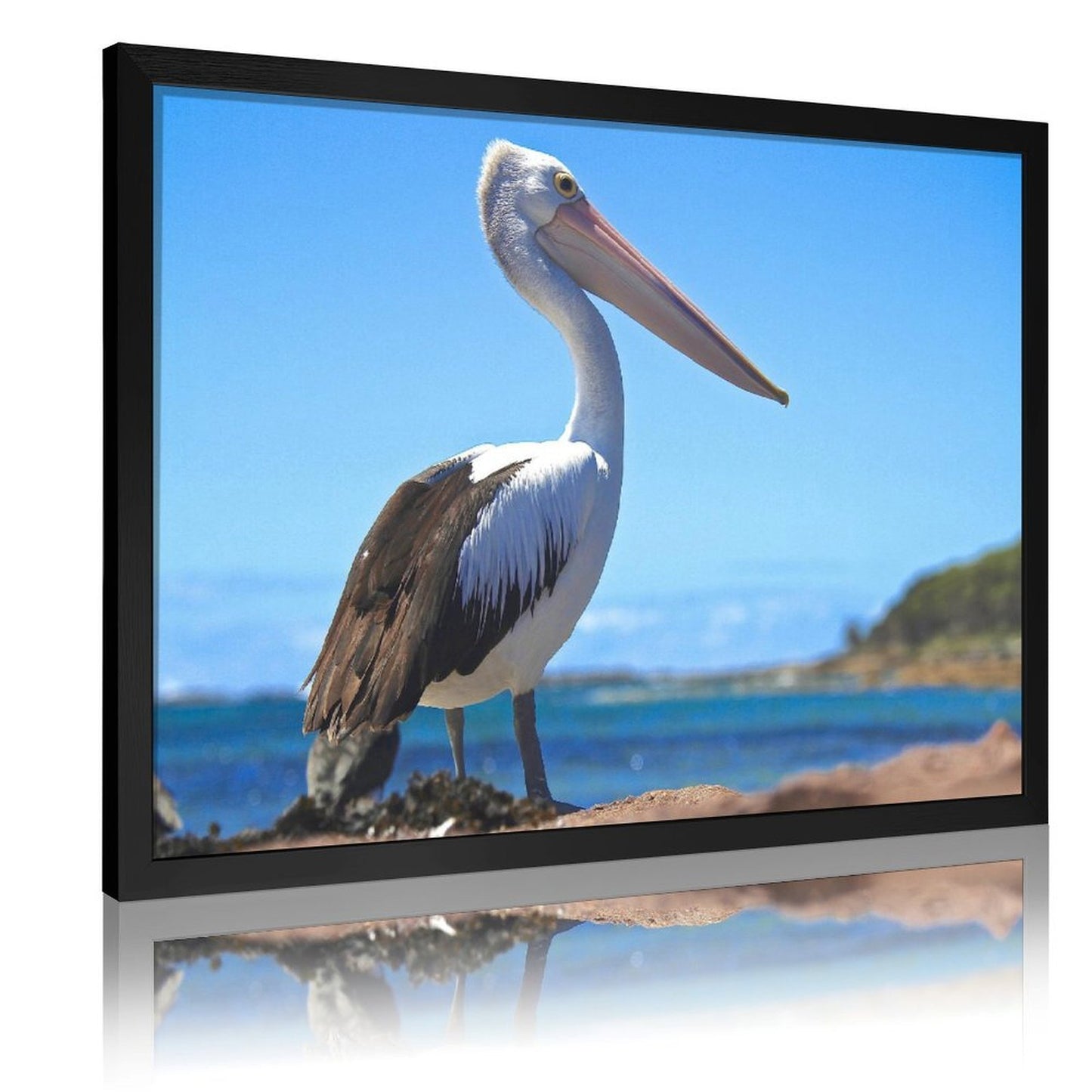 Tropical Toucan Duo Wall Art – Modern Nature Photography Print-13