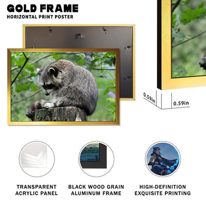 Adorable Raccoon Wall Art Forest Tree Scene Gold Frame-14