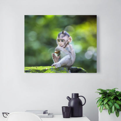 Wildlife Lemur Wall Picture Canvas Framed Artwork-06