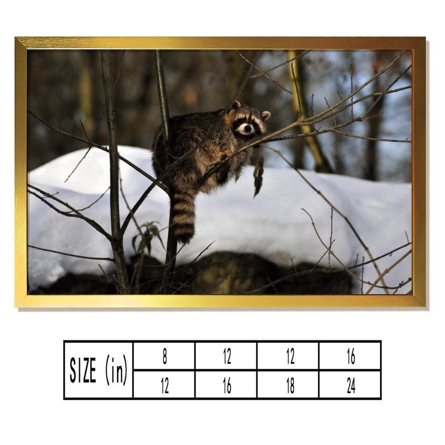 Forest Raccoon Wall Art Canvas Print Nature Decoration-06