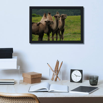 Camel Herd Wall Art Black Frame Desert Animal Decor-11