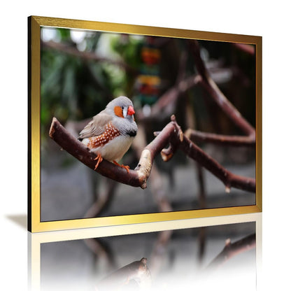 Tropical Toucan Duo Wall Art – Modern Nature Photography Print-13