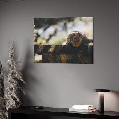 Cute Baby Monkey Canvas Painting Wildlife Home Decor-16