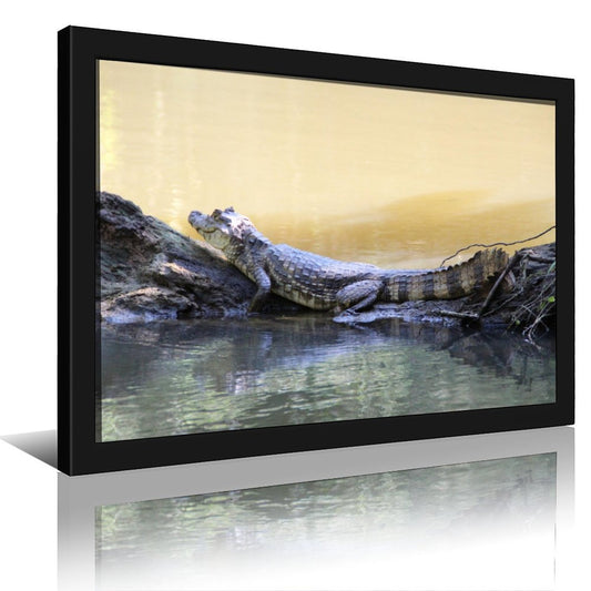 Crocodile Eyes Above Water Canvas Print Wall Artwork-49