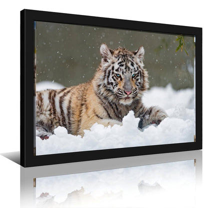White Tiger in Snow Canvas Wall Art – Modern Framed Home Décor-18
