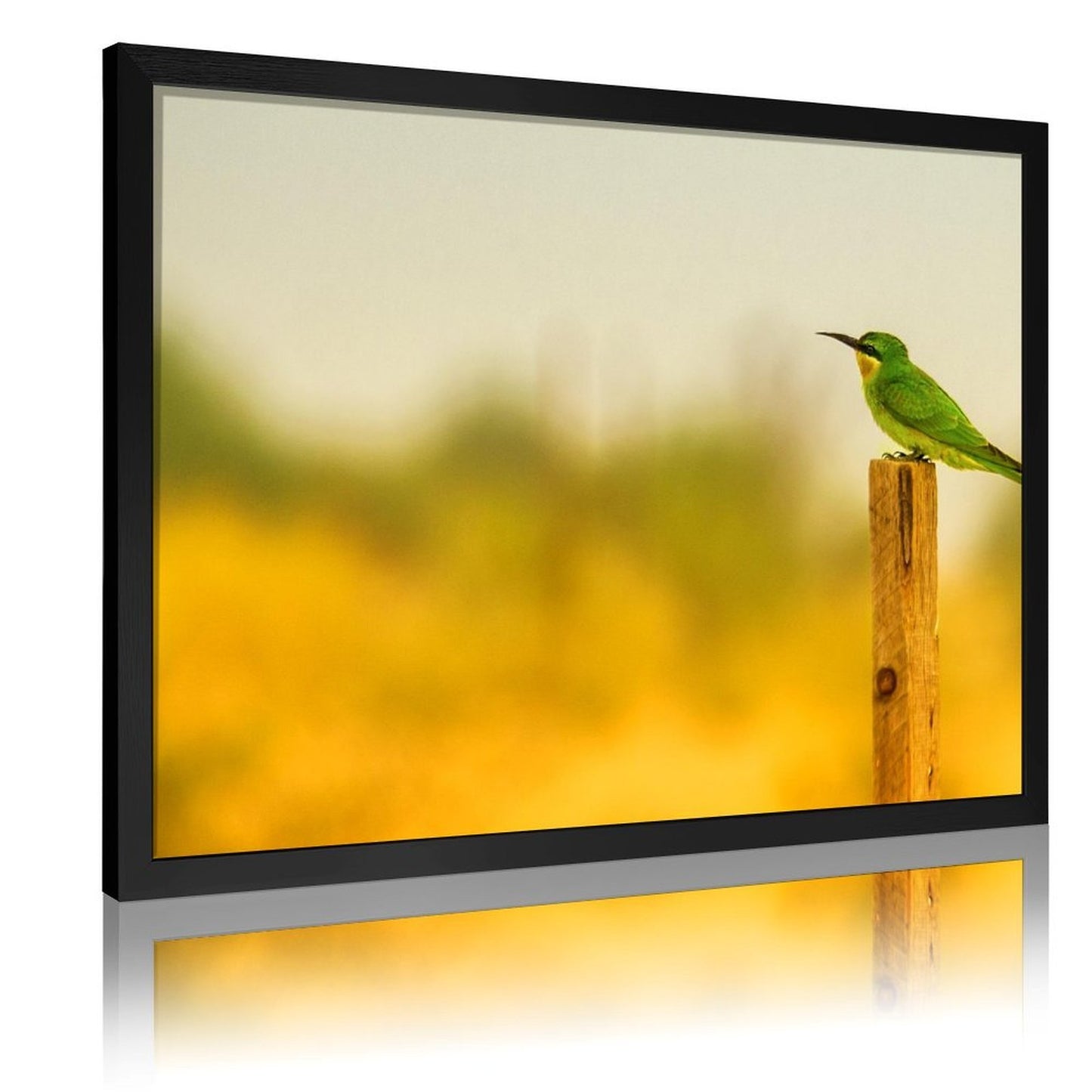 Tropical Toucan Duo Wall Art – Modern Nature Photography Print-13