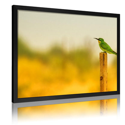 Tropical Toucan Duo Wall Art – Modern Nature Photography Print-13