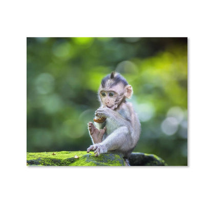 Wildlife Lemur Wall Picture Canvas Framed Artwork-06