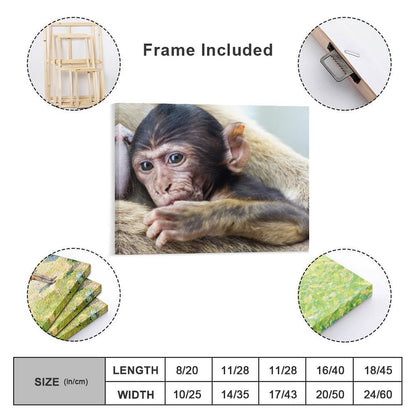 Baby Monkey Wall Art Framed Animal Canvas Print-012