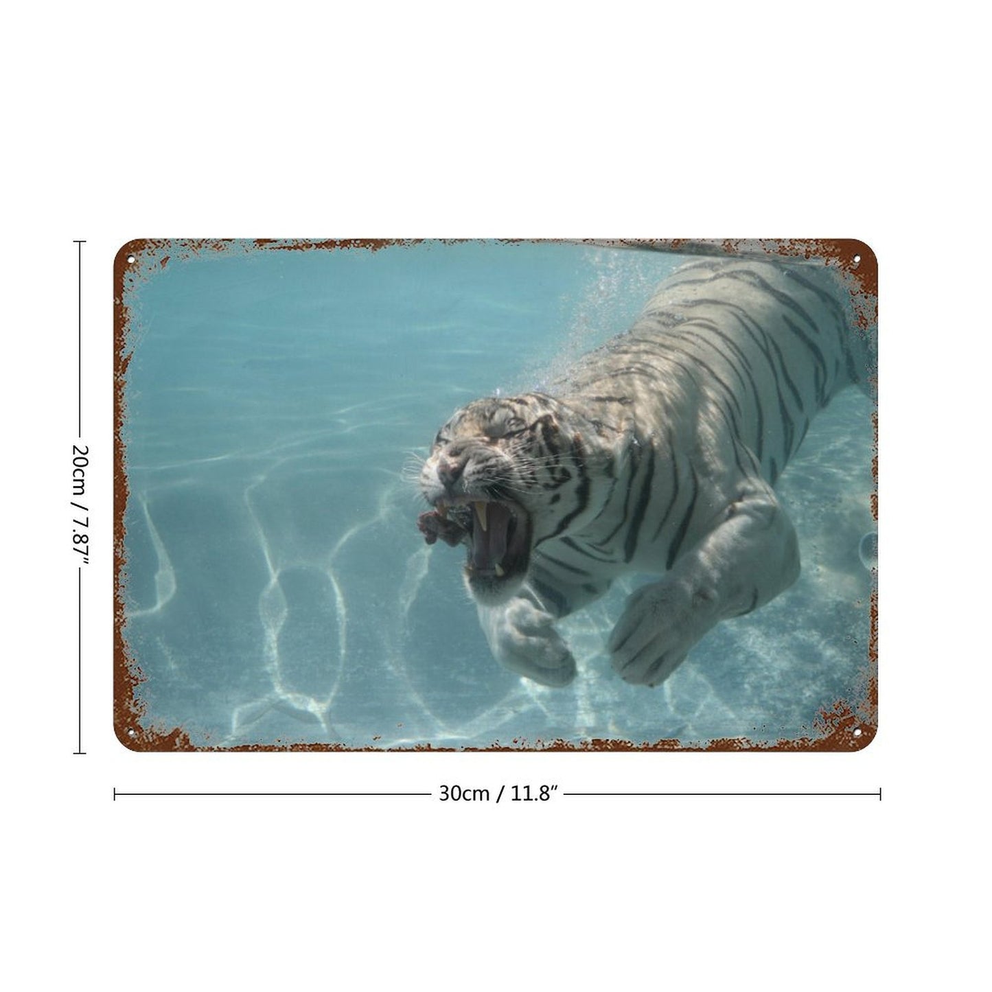 Vintage Underwater White Tiger Metal Wall Art Decor