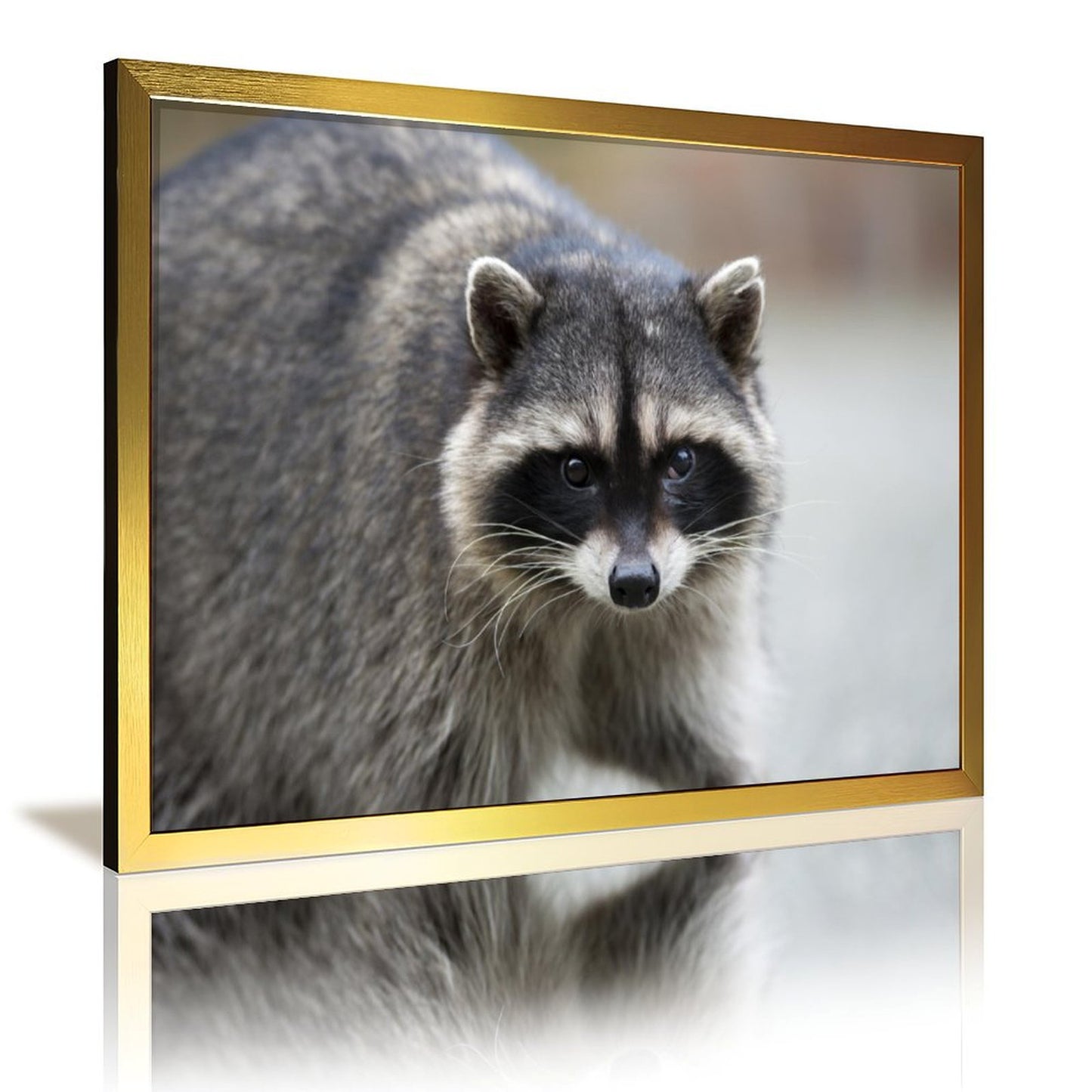 Golden Frame Raccoon Wall Painting for Living Room