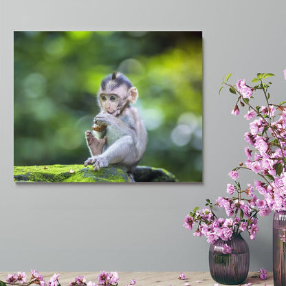 Wildlife Lemur Wall Picture Canvas Framed Artwork-06