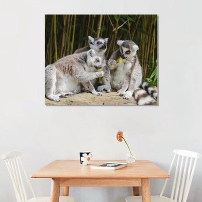 Ring-Tailed Lemur Canvas Print Jungle Wall Painting-13