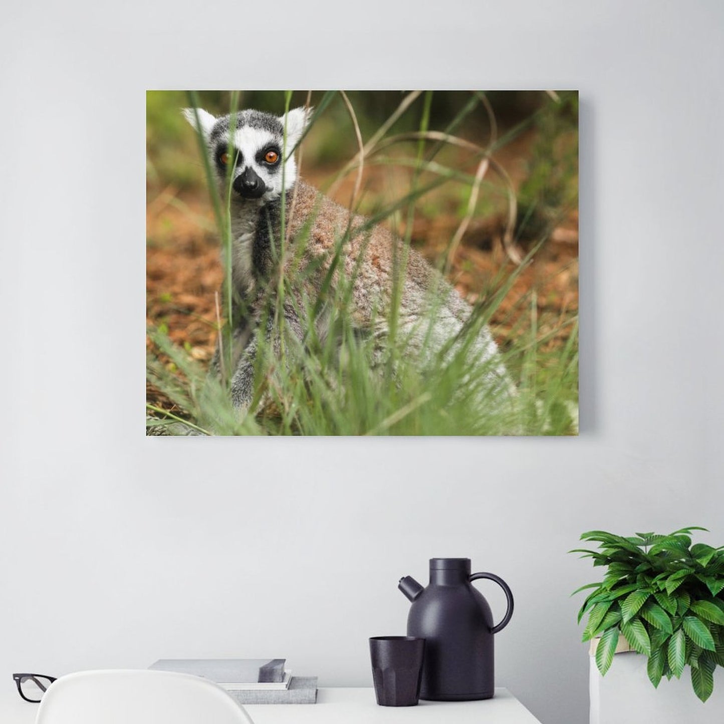 Lemur Wall Art Framed Canvas Wildlife Animal Decor-15