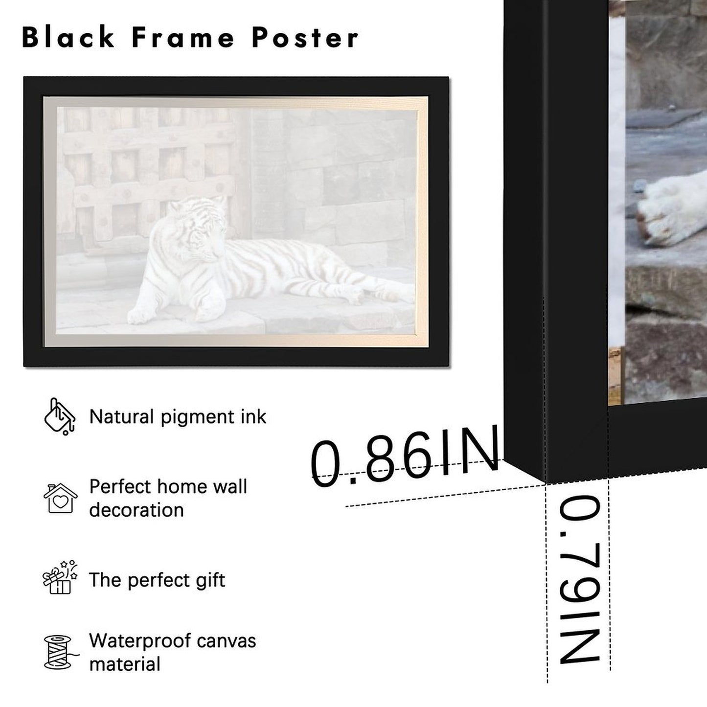 White Tiger Canvas Wall Art – Elegant Modern Animal Print Decor-14