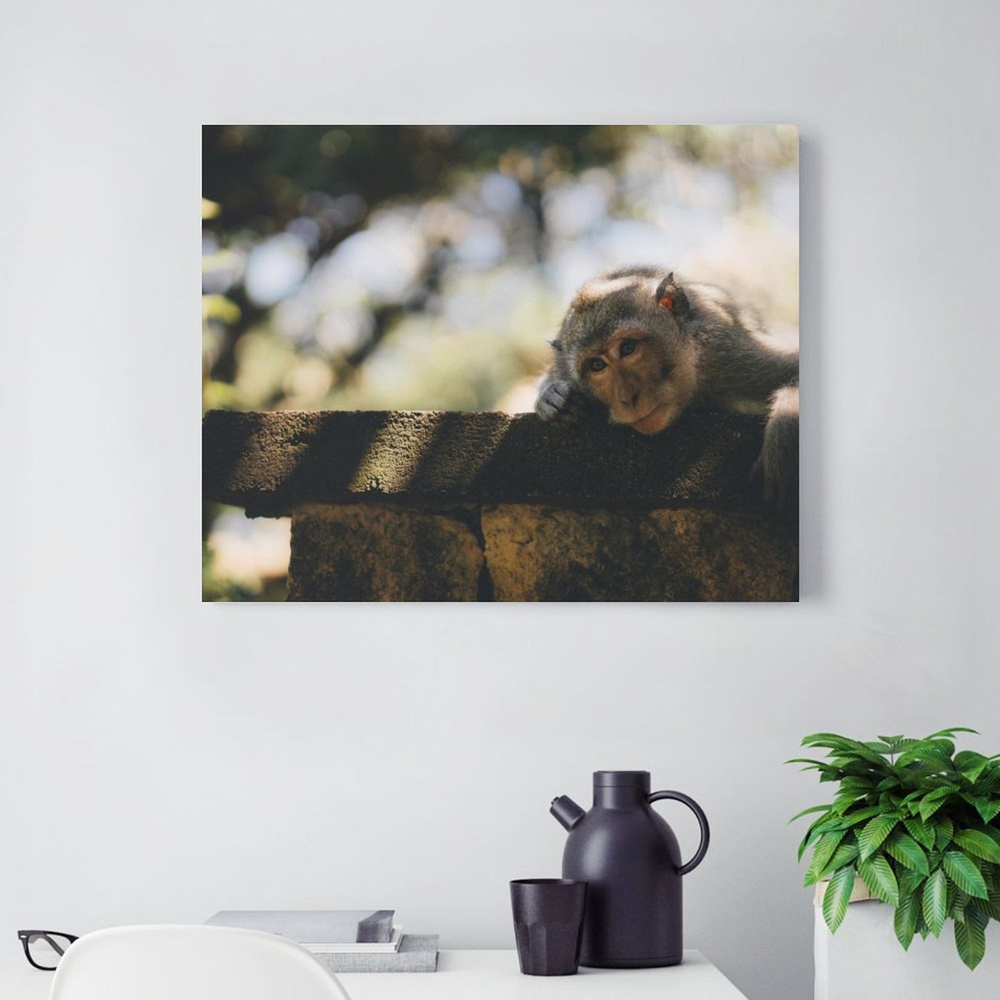 Cute Baby Monkey Canvas Painting Wildlife Home Decor-16