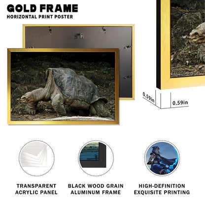 Cute Turtle Wall Art Gold Frame Nature Home Decoration-09