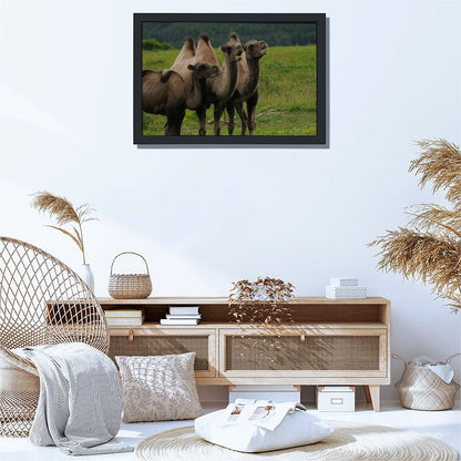 Camel Herd Wall Art Black Frame Desert Animal Decor-11