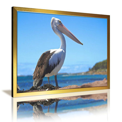 Tropical Toucan Duo Wall Art – Modern Nature Photography Print-13