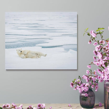 Polar Bear on Ice Canvas Wall Art – Arctic Wildlife Home Decor-012