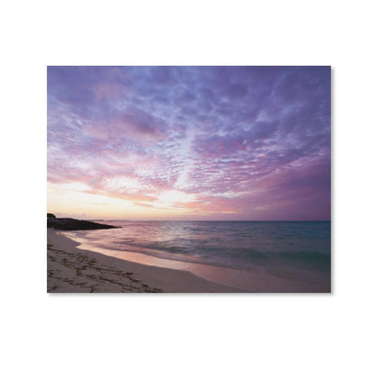 High-Density Framed Canvas Art, Fade-Resistant & Vivid
