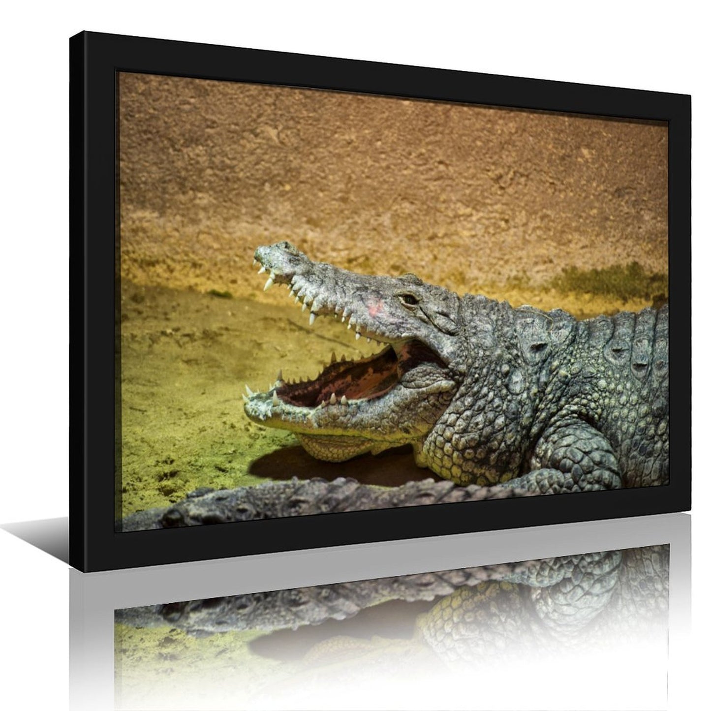 Black Frame Crocodile Wall Picture Nature Animal Decor-78