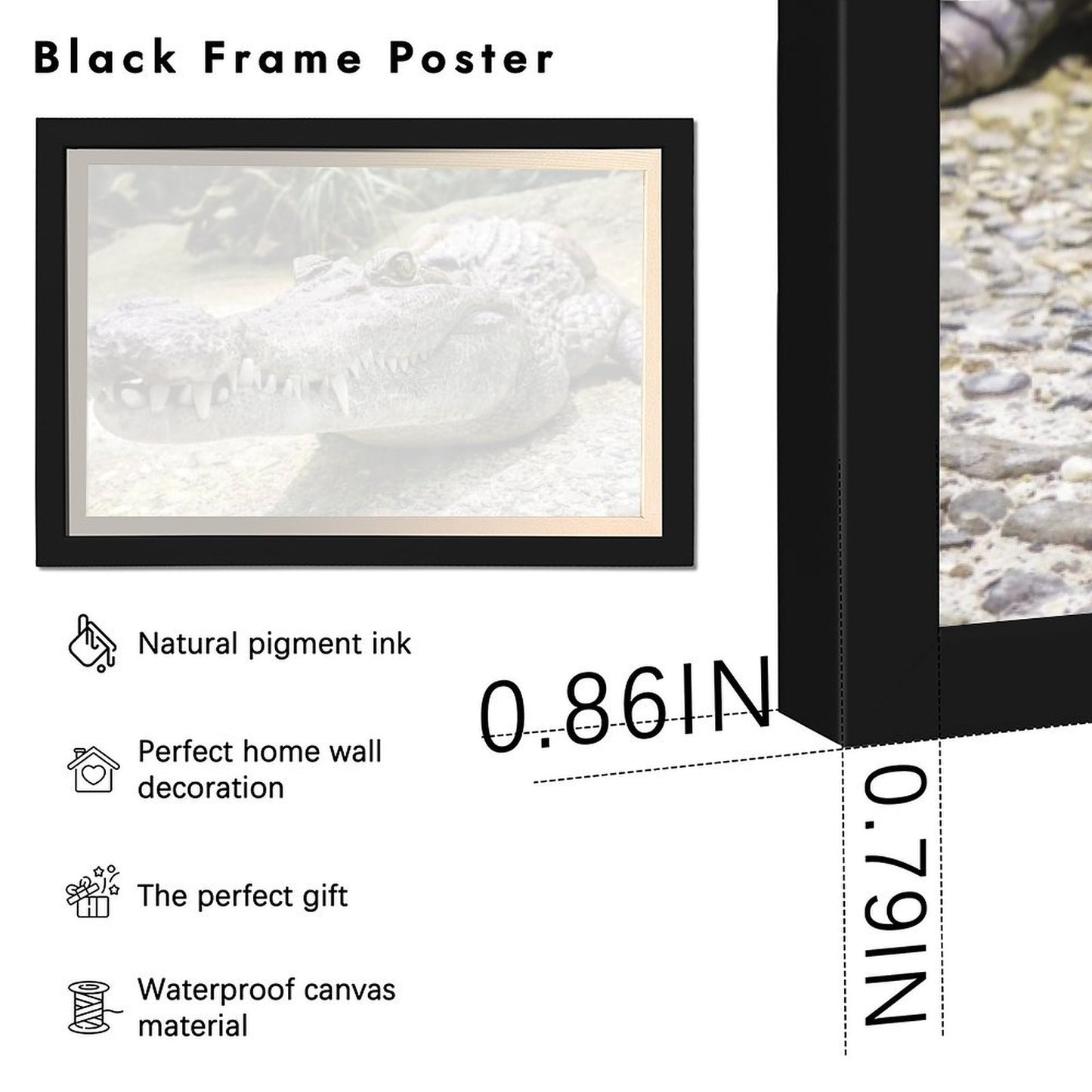 Alligator Canvas Painting Nature Animal Wall Picture