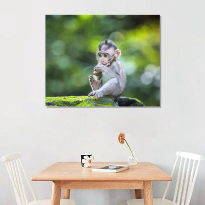 Wildlife Lemur Wall Picture Canvas Framed Artwork-06