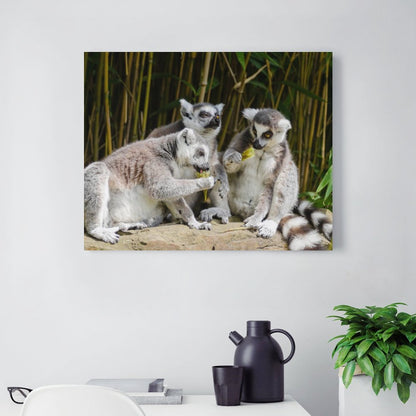 Ring-Tailed Lemur Canvas Print Jungle Wall Painting-13