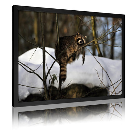 Forest Raccoon Wall Art Canvas Print Nature Decoration-06