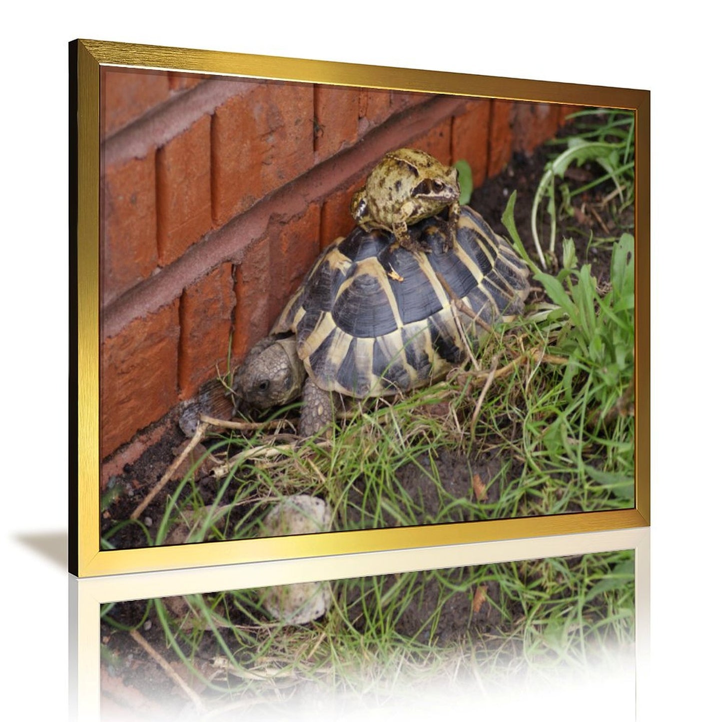 Nature Animal Wall Picture Turtle Among Flowers Artwork-19