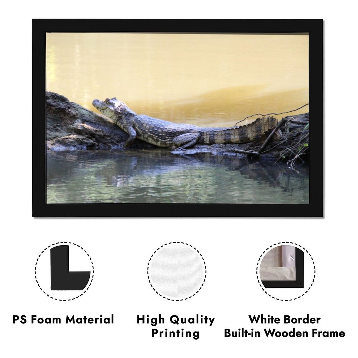 Crocodile Eyes Above Water Canvas Print Wall Artwork-49