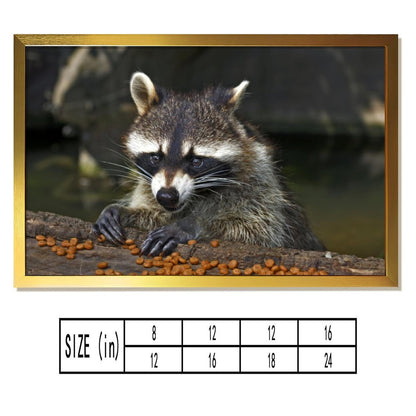 Rustic Raccoon Print Wall Decor Nature Animal Artwork-013