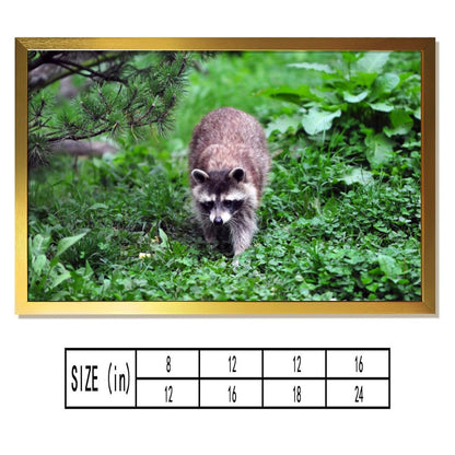 Nature Animal Wall Art Cute Raccoon in Tree Decoration-07