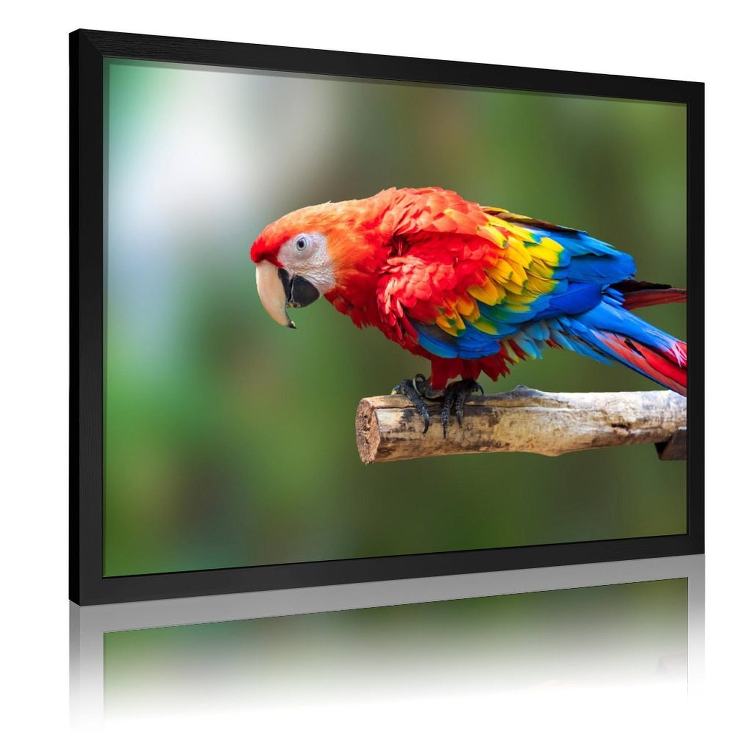 Tropical Toucan Duo Wall Art – Modern Nature Photography Print-13