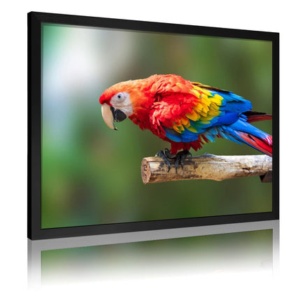 Tropical Toucan Duo Wall Art – Modern Nature Photography Print-13