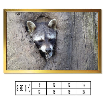 Animal Wall Picture Raccoon in Tree Hole Gold Frame-10