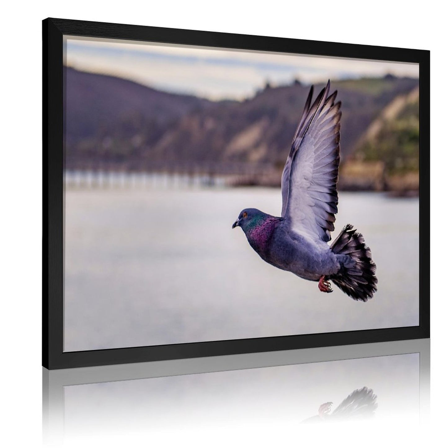 Tropical Toucan Duo Wall Art – Modern Nature Photography Print-13