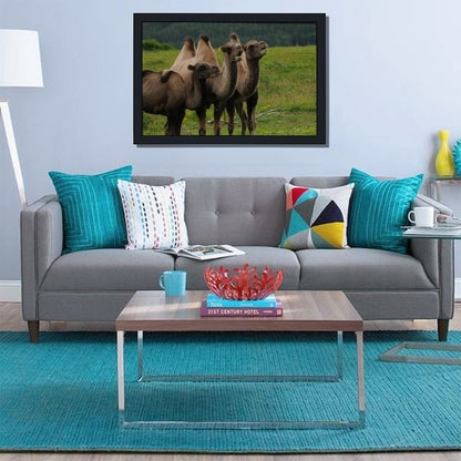 Camel Herd Wall Art Black Frame Desert Animal Decor-11