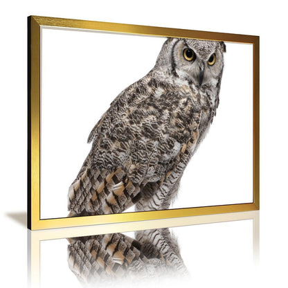 Tropical Toucan Duo Wall Art – Modern Nature Photography Print-13