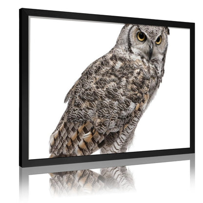 Tropical Toucan Duo Wall Art – Modern Nature Photography Print-13