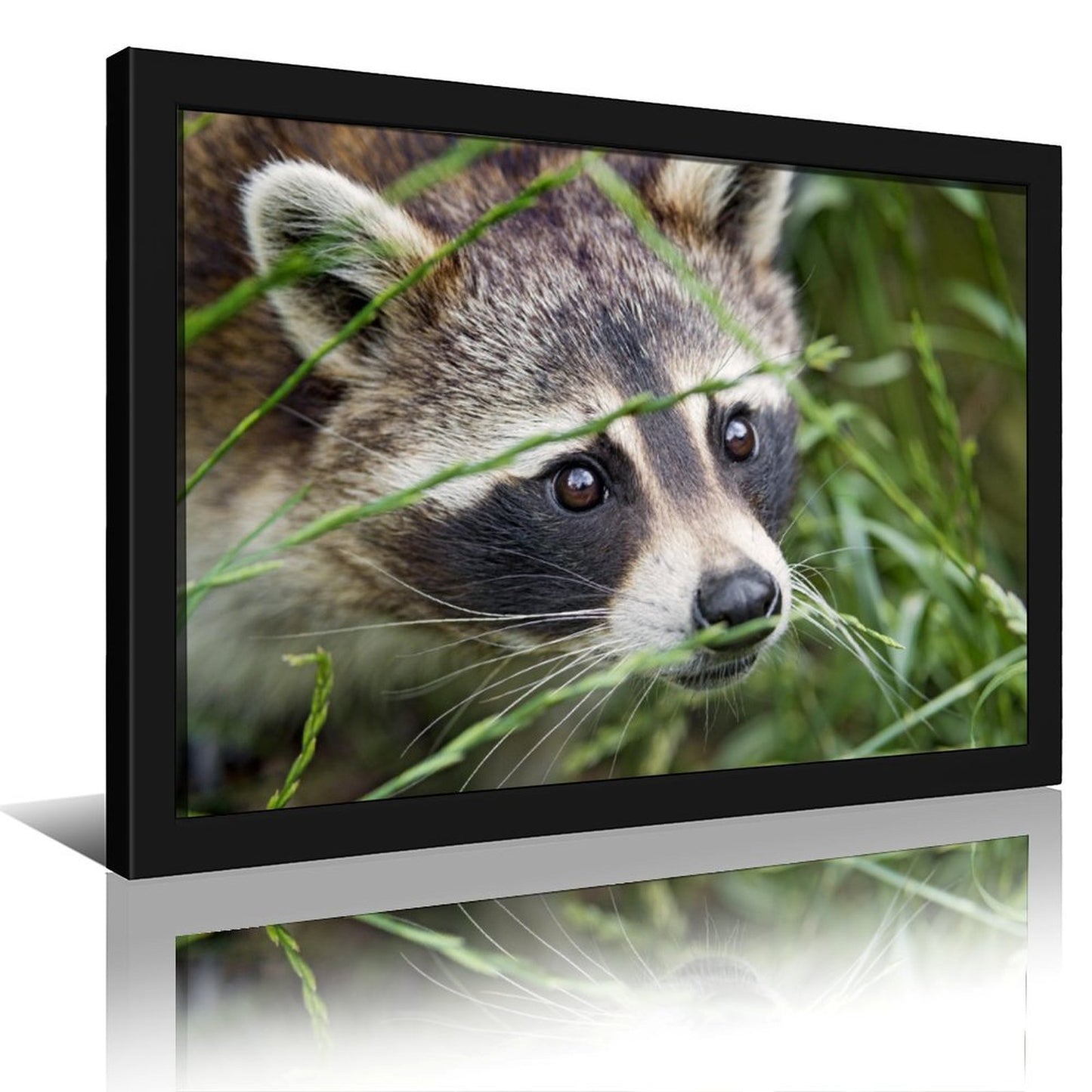 Cute Raccoon Canvas Painting with Golden Wooden Frame-012