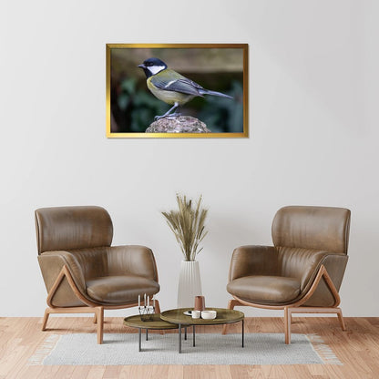 Colorful Bird Photography Wall Art – Modern Nature Print Decor-136