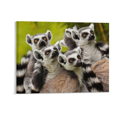 Wild Lemur Wall Picture Nature Animal Framed Decor-06