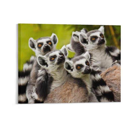 Wild Lemur Wall Picture Nature Animal Framed Decor-06