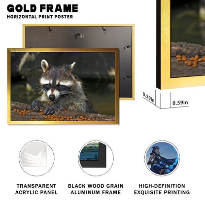 Rustic Raccoon Print Wall Decor Nature Animal Artwork-013